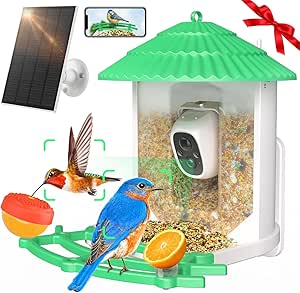 Smart Bird Feeder with Camera, 2K Wild Bird Watching Cam, Capture Bird Videos & Motion Detection, 2.4G WiFi APP Connection, Green, BF143 asin的图片