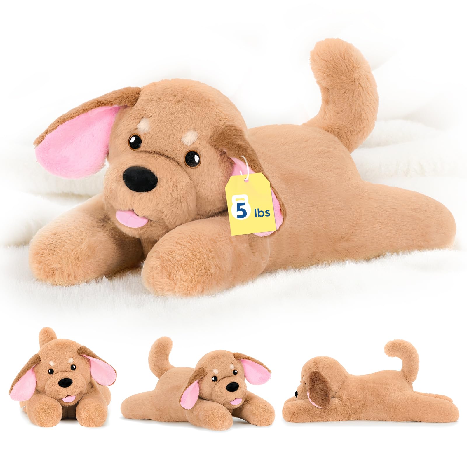 Amazon.com: PEACH CAT 25.6 inch 5 lbs Golden Retriever Dog