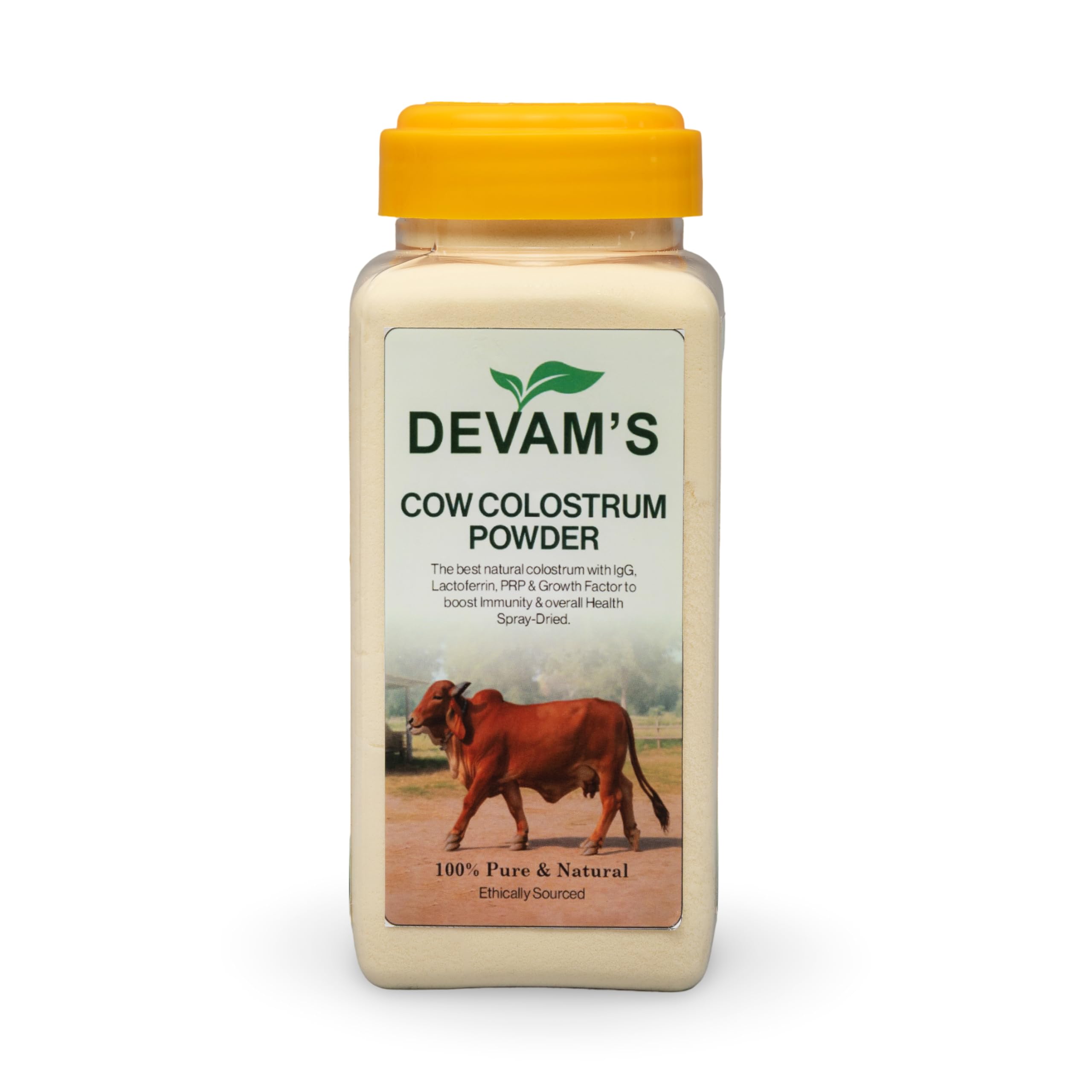 DEVAM'S Cow Colostrum Powder 150 Gram |Ethically Sourced |100% Natural and Pure | Packed in Reusable PET Bottle