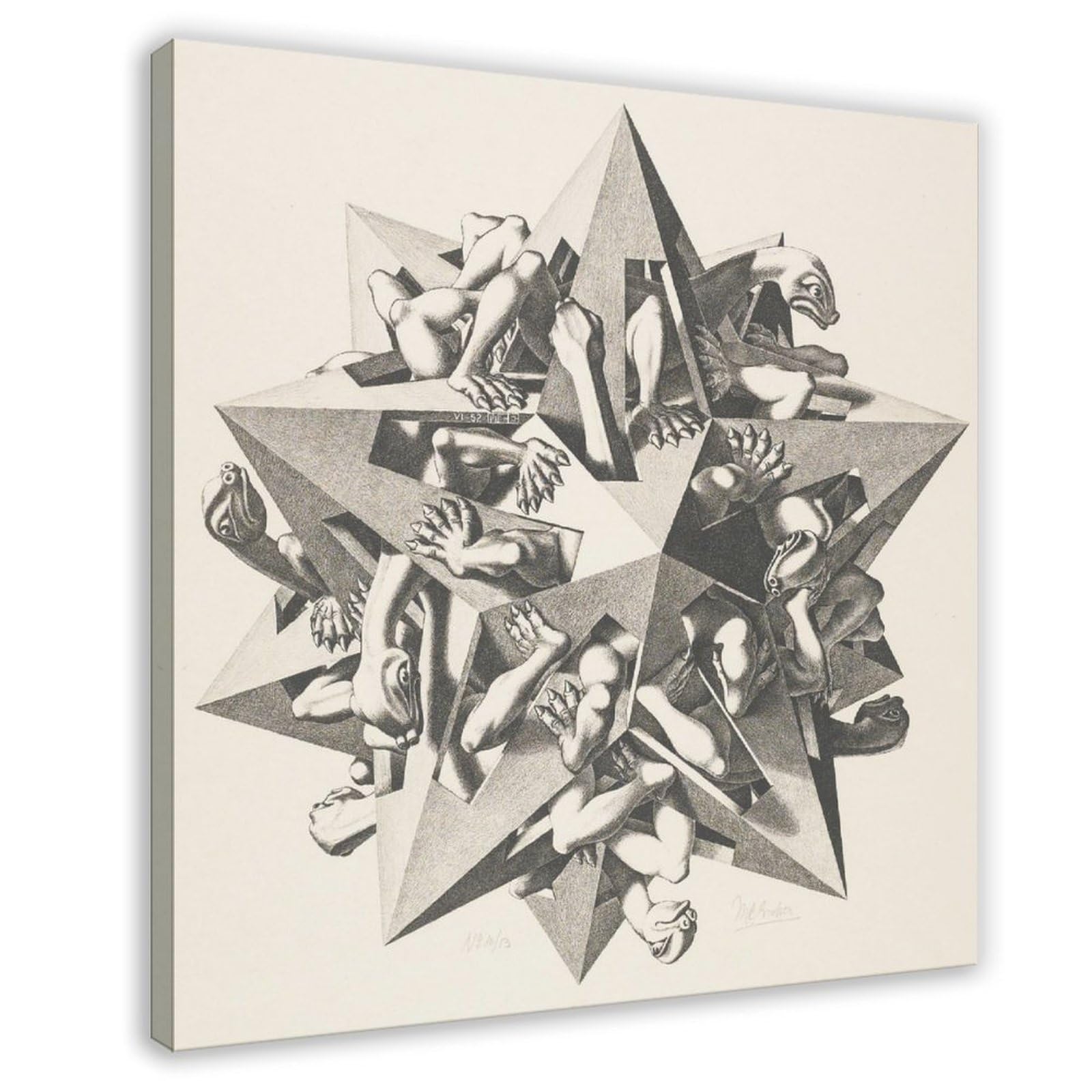 WCYB GRAVITY by Maurits Cornelis Escher Posters Prints Canvas Deco Paintings Wall Art Frame 28" L X 28" W
