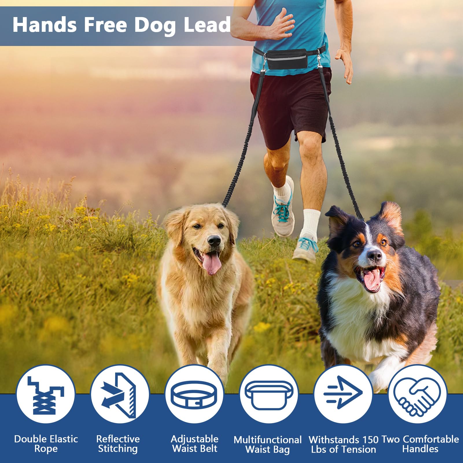 Hands Free Dog Lead, Adjustable Dog Walking Belt for 2 Dogs, Running Dog Lead with Waist Belt and Bag - Image 2