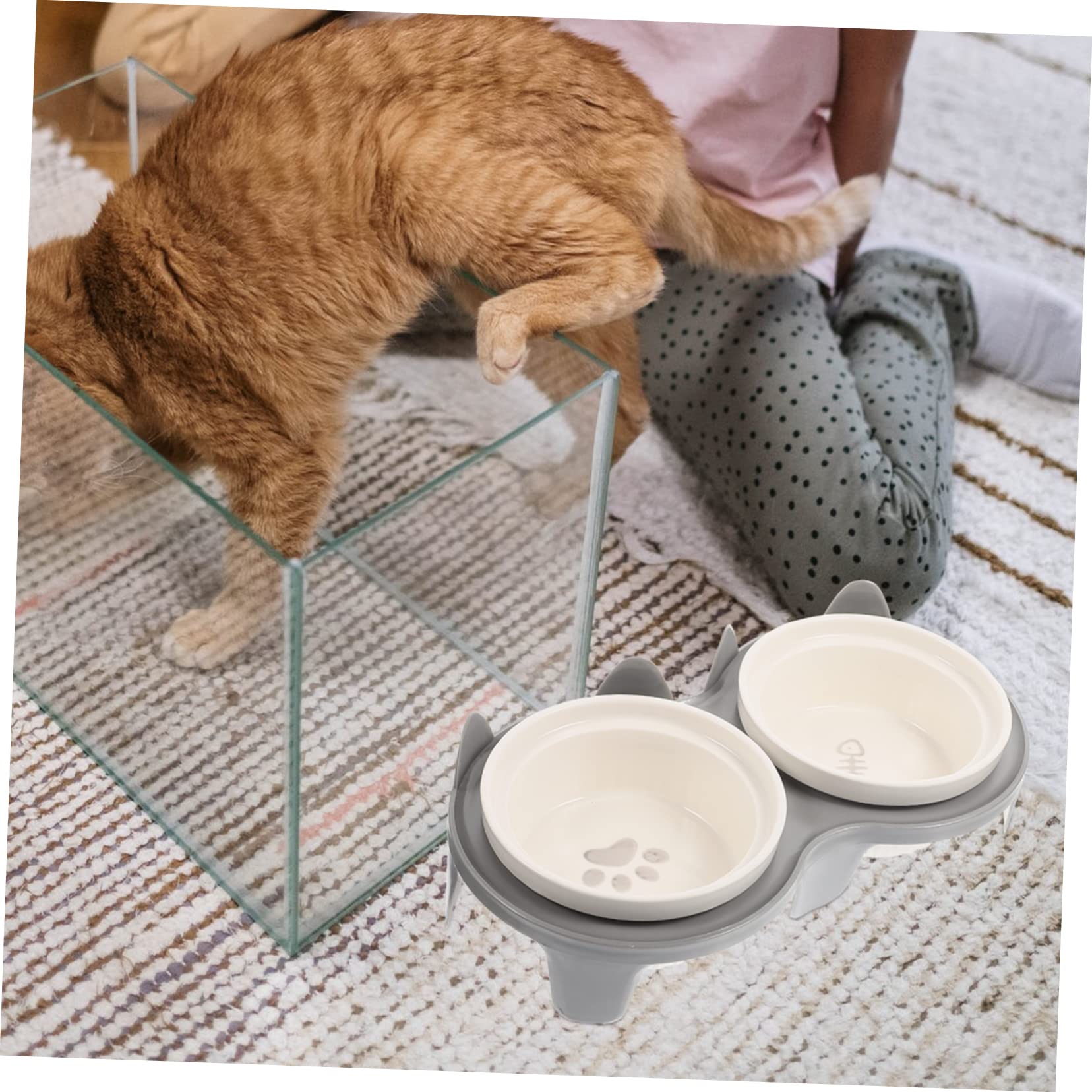 DOITOOL Erhöhter Keramik Katzennapf mit Neigung 2-Schalen Design für Futter und Wasser Abnehmbar für Hund und Katze