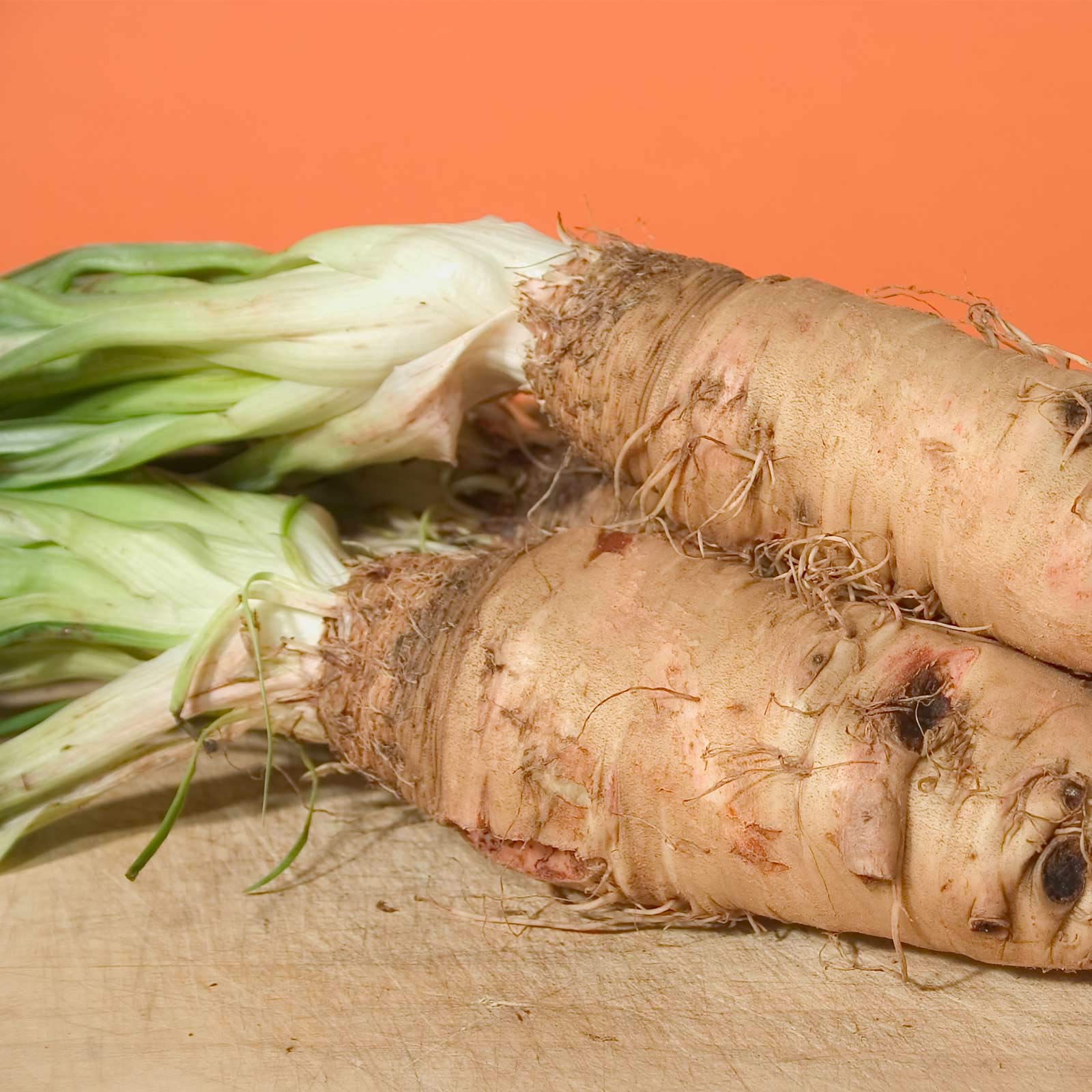 Salsify Seeds - Sandwich Island Variety - 2 g Packet ~800 Seeds - Non-GMO Root Vegetable - White Salsify, Goatsbeard, Vegetable Oyster