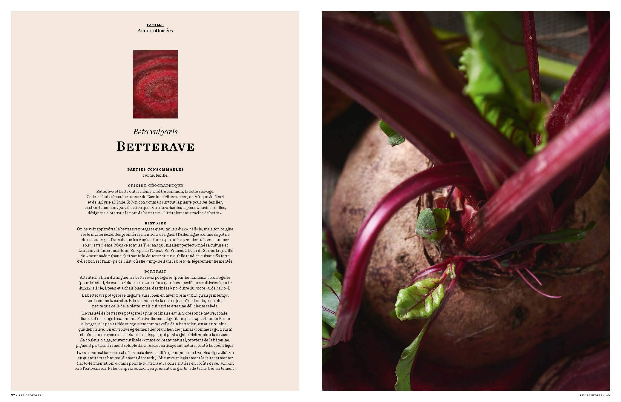 Légumes: 65 légumes, 110 gestes techniques, 110 recettes