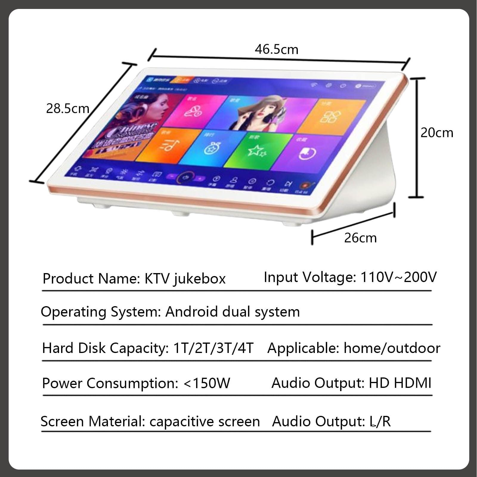 Macchina per Karaoke da 18,5 Pollici, Lettore Karaoke 4K, 2 microfoni Wireless + Telecomando per Telefono + Supporto per 22 Lingue,2T