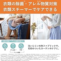 Vista 2 de Vaporizador de ropa, plancha de vapor, gran capacidad, NI-CFS760, lvory