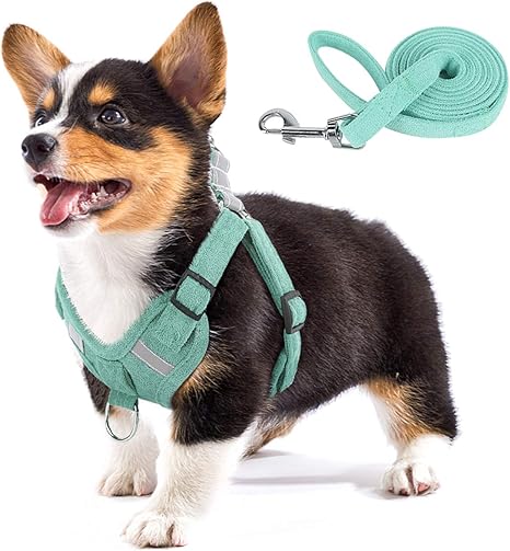 mint green dog harness