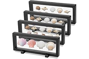 4pcs 3D Floating Display Stand for Seashell, 9x3.5x0.8" 3D Floating Display Case