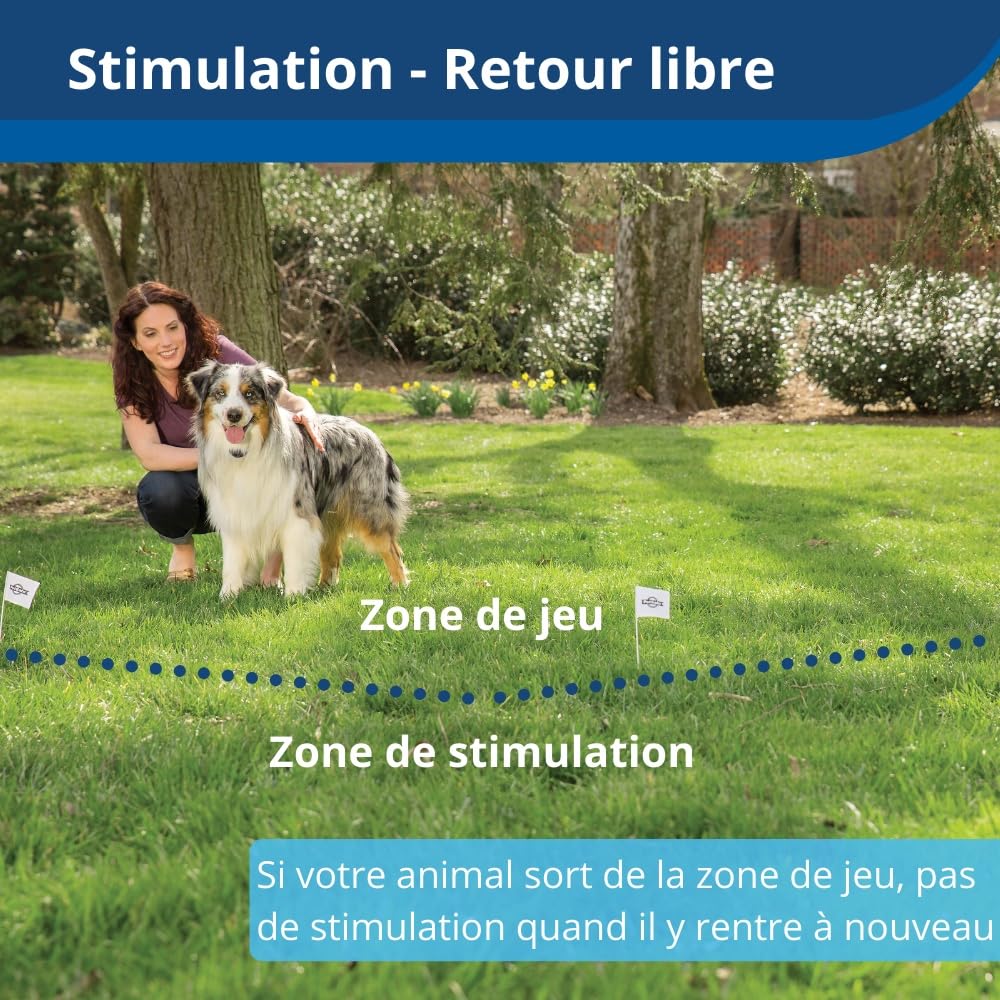 PetSafe Stay & Play Compact Wireless Pet Containment System with Rechargeable Collar, LCD Screen for Adjustable Circular Perimeter, up to 3,000 m², Suitable for All Your Pets, Portable System