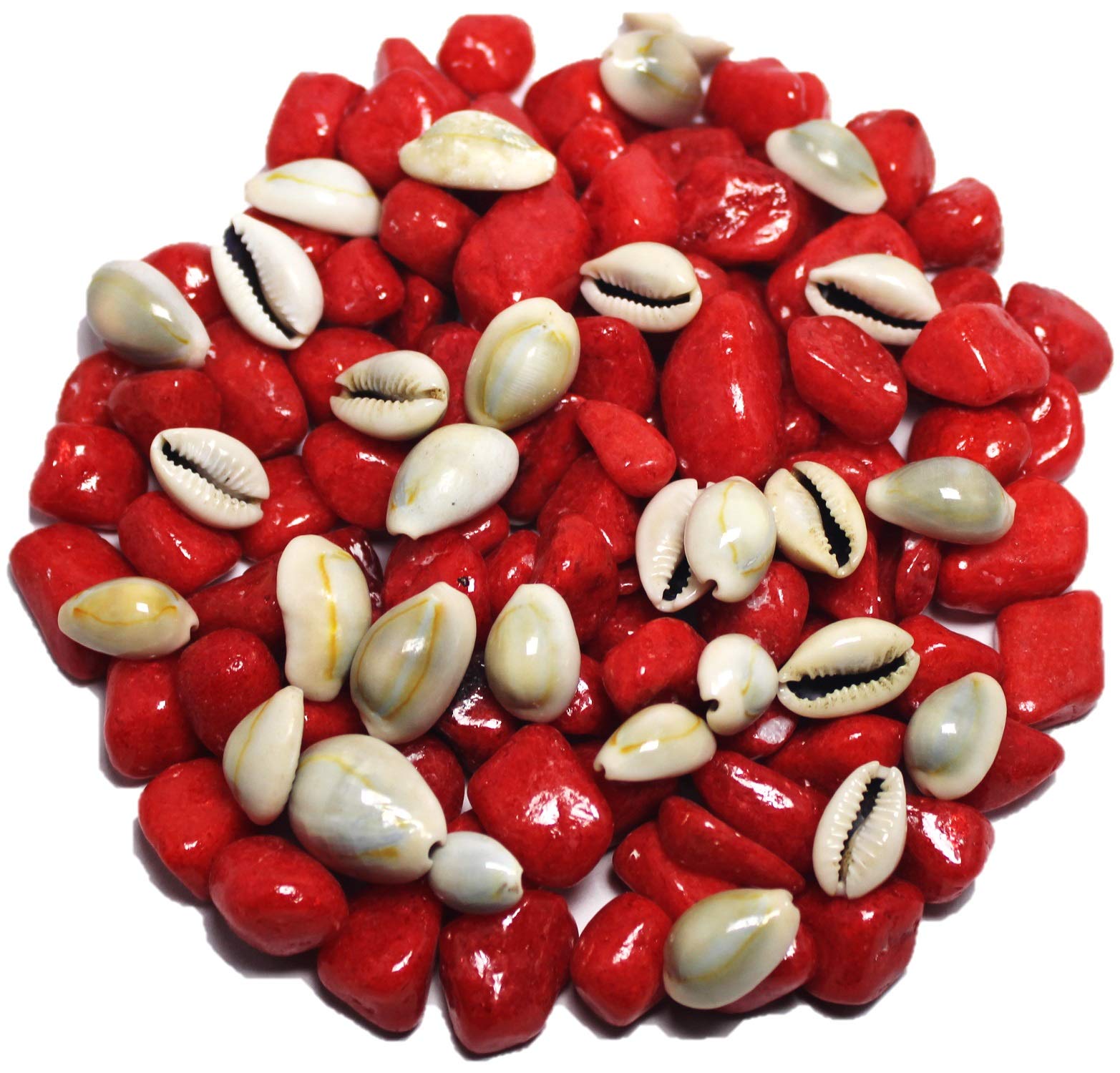 DS1 Red Pebbles Gravels Stone with Cowrie Shell for Aquarium, Table, Vase, Fountain, 350 gm (B08XNW8LJK) Amazon Price History, Amazon Price Tracker