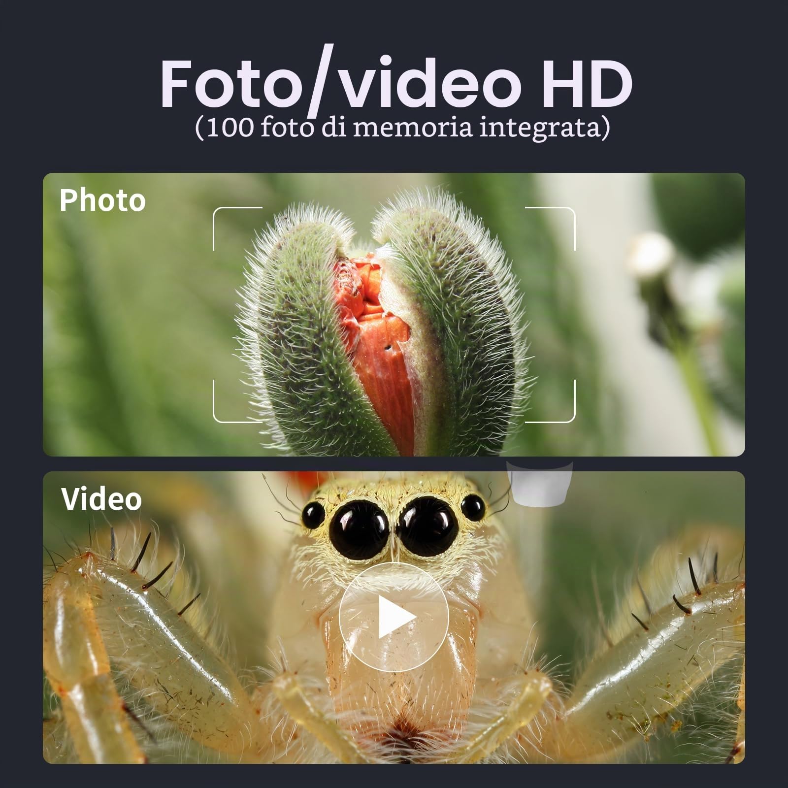 Ashfly Microscopio Digitale, 4,3'' IPS Microscopio 50-500X per adulti, Microscopio Electronico con 8 LED Regolabili, Vista PC, Compatibile Windows/MacOS