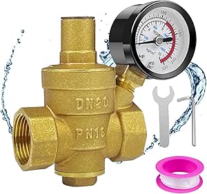 SURENHAP Jauge De Pression D'eau Manomètre à Montage Latéral 1/4' NPT 0-10 Bar Quincaillerie