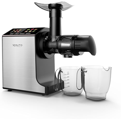 Masticating Juicer Machines, Cold Press Juicer, Easy to Clean with Brush, Touch Screen Stainless Juicer Machines for Vegetable & Fruit, Juice Maker with Quiet Motor & 2 Speed Modes, Silver