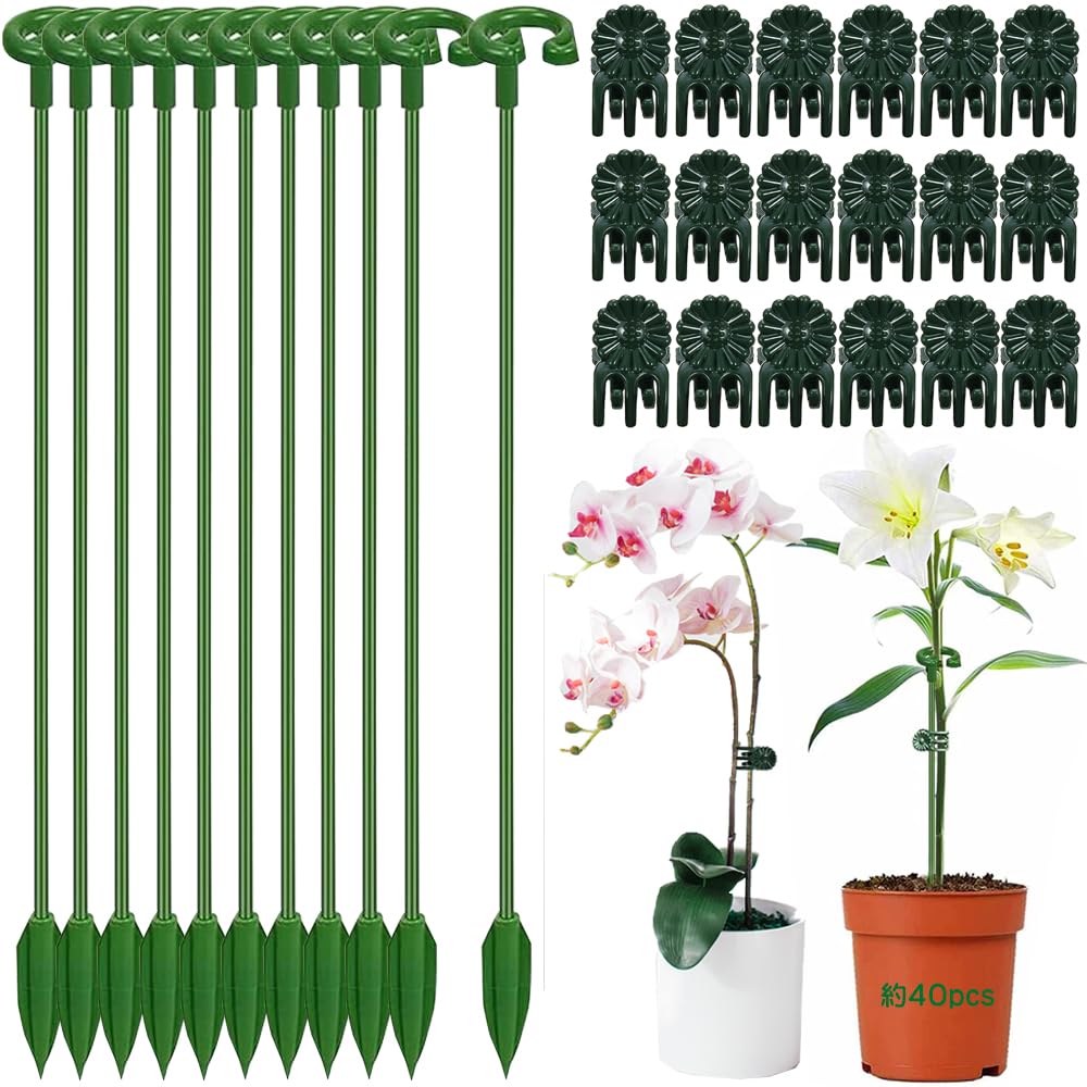 洋蘭 植物用クリップ 植物支柱クリップ 園芸クリップ 25個セット 植物支柱クリップ 植物サポート 園芸支柱 花支え 15個セット 27cm フレキシブルなデザイン 接ぎ木クリップ 簡単設置 着脱可能 胡蝶蘭 観葉植物 支柱棚 野菜用 家庭菜園 園芸便利 固定用具 実用用具 合計40pcs（グリーン ）