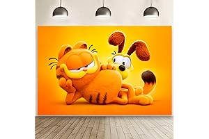 Garfield Birthday Party Decorations