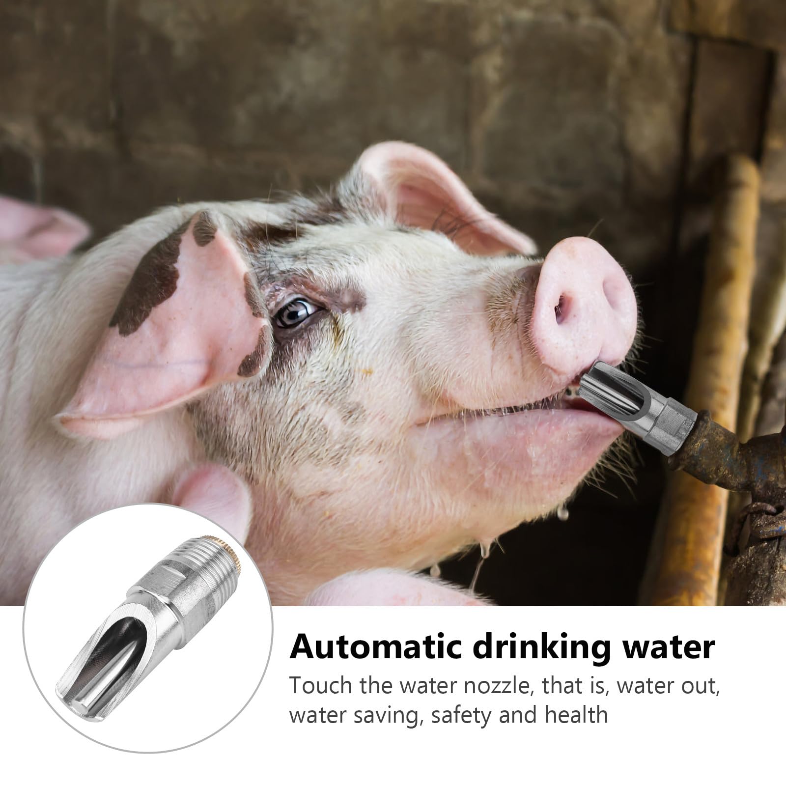 Distributeur D'eau Capuchon Anti-fuite pour Cochons 10pcs en Acier Inoxydable Adapté pour Truies et Porcs D'élevage