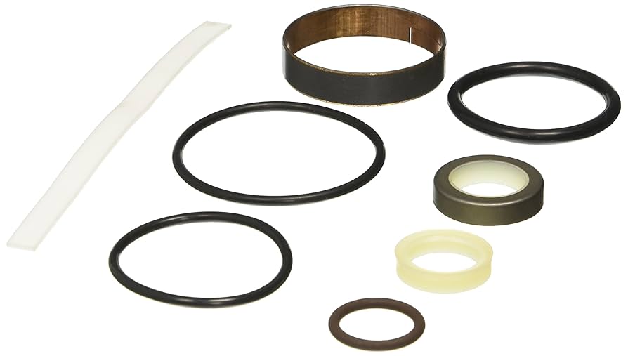 Amazon.com: Fabtech FTS86153 Shock Rebuild Kit : Automotive