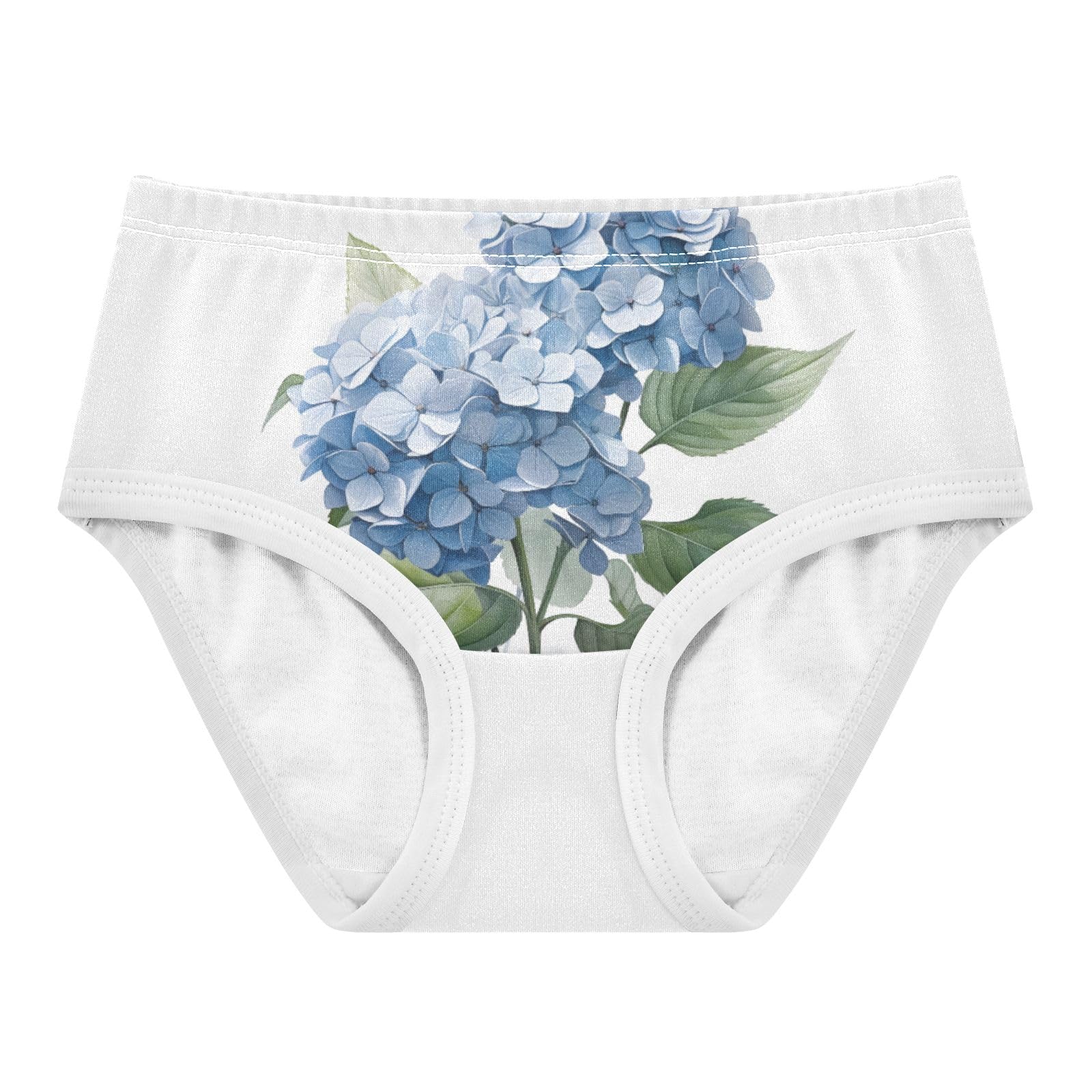 ALAZA Toddler Girls Cotton Hipster Underwear Soft Hydrangea Flower Blue 2 Pack 2T