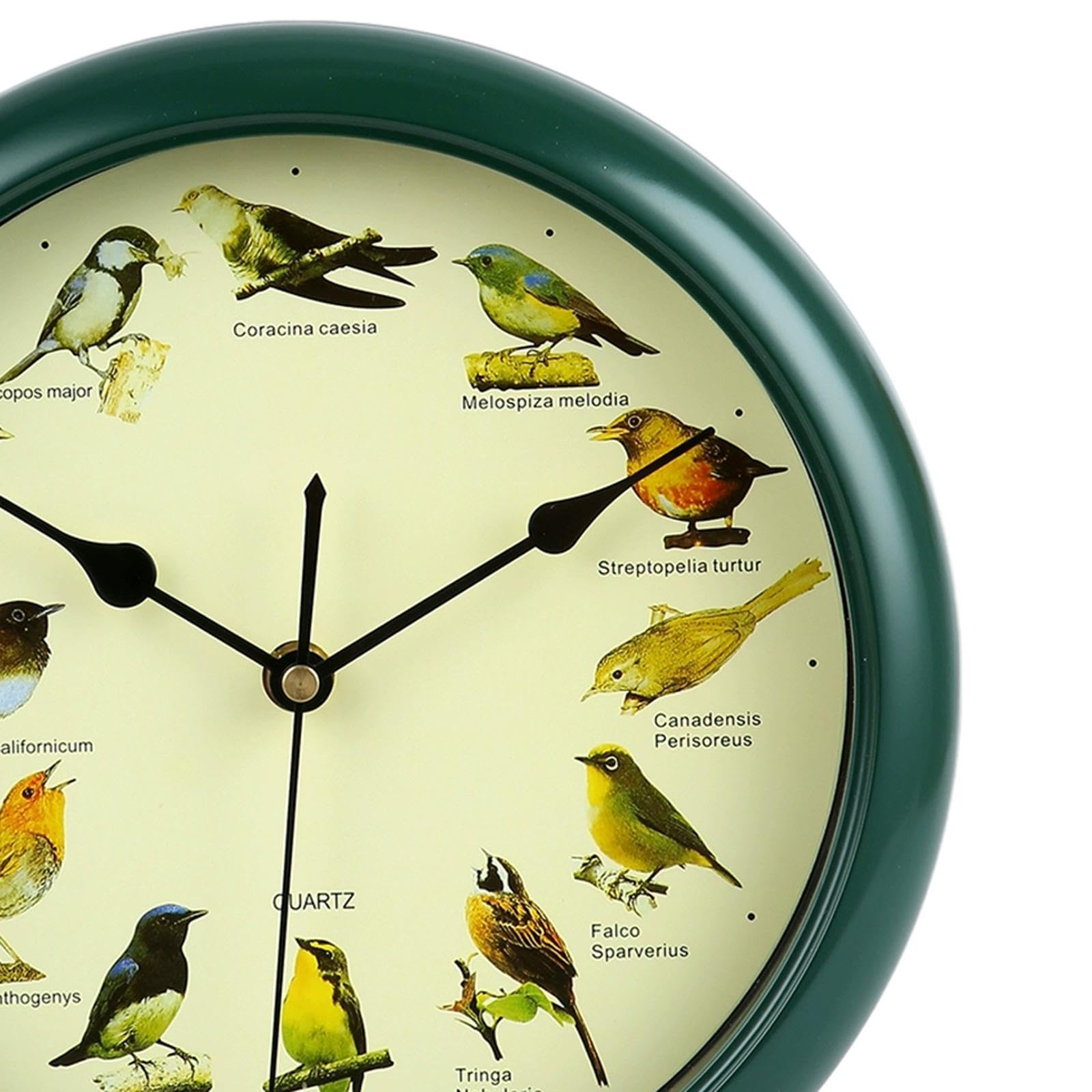 ATORSE 10inch Singing Wild Bird Wall Clock Battery Powered Melody Clock for Kitchen