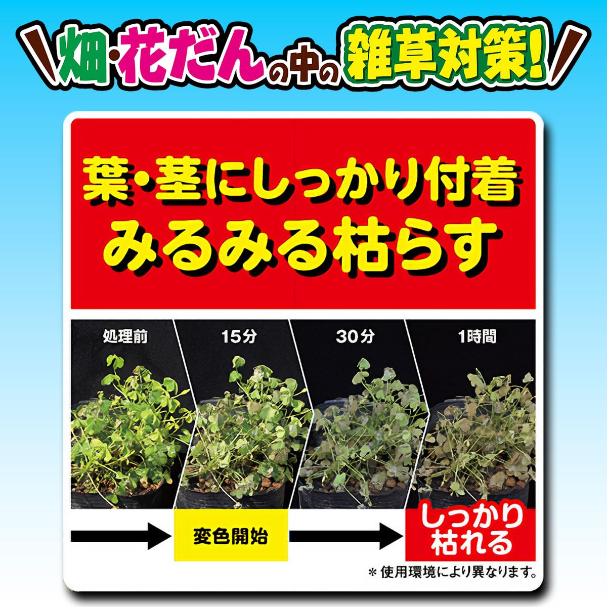 カダン 除草王 フマキラー ビネガーキラー : ビネガーキラー2L×8本