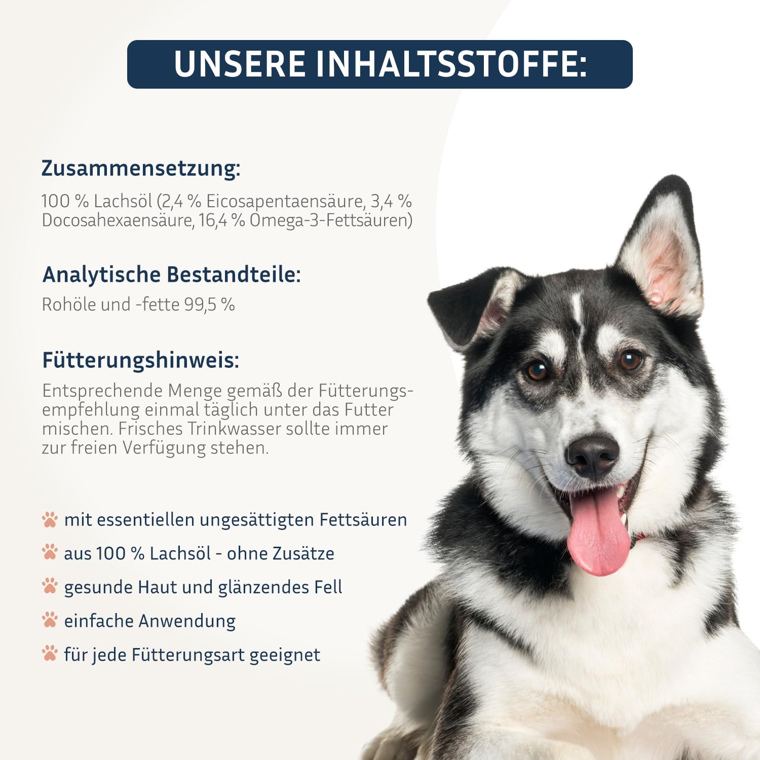 PetFokus Premium Omega 3 Lachsöl für Hunde EPA DHA Fettsäuren Flasche 500ml