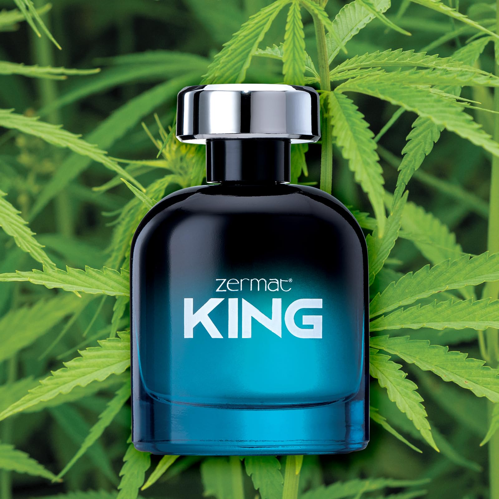 Royall Yacht Eau De Toilette Splash for Men, 8.0 Ounce