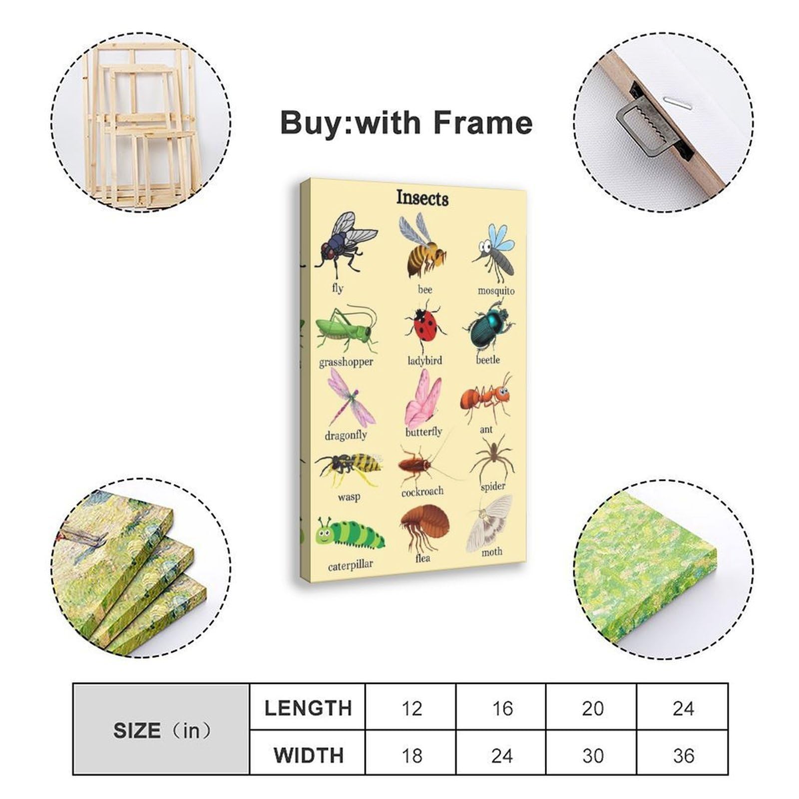 Póster de lienzo con conocimiento de la enciclopedia de insectos y animales, decoración de dormitorio, paisaje, oficina, habitación, regalo, 50 x 75 cm