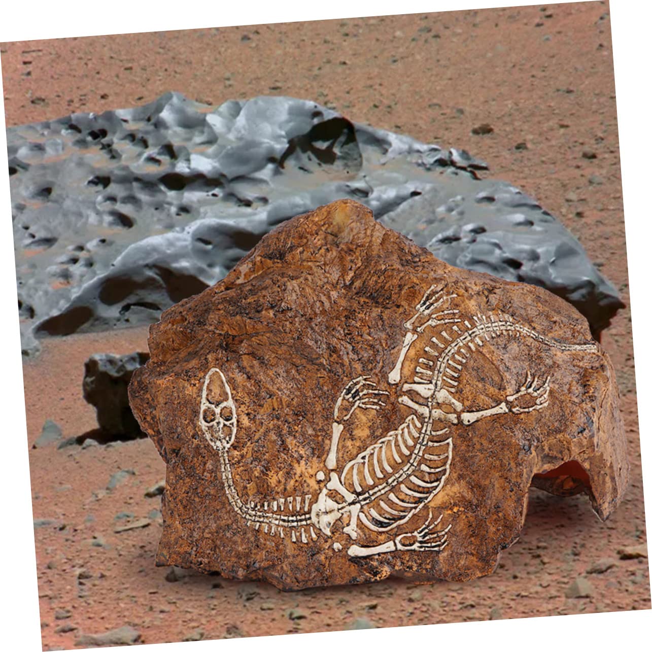 Hohopeti 1pièce Décoration Aquarium Crâne Résine Ornement Lifelike pour Poisson Et Plantes Aquatiques Statue De Pierre Naturelle pour Aménagement Paysager De Réservoirs Aquatiques