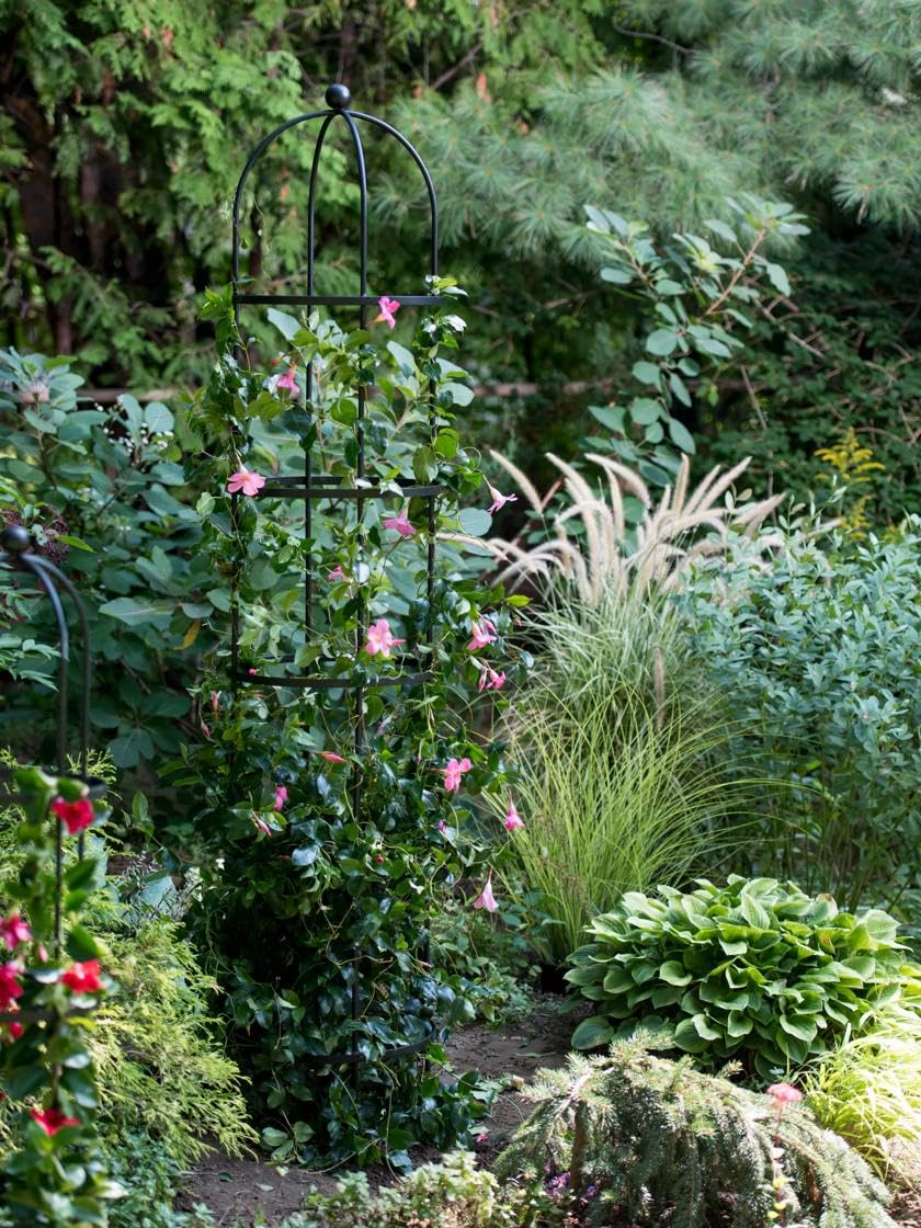Gardener's Supply Company 7 Ft Essex Round Trellis