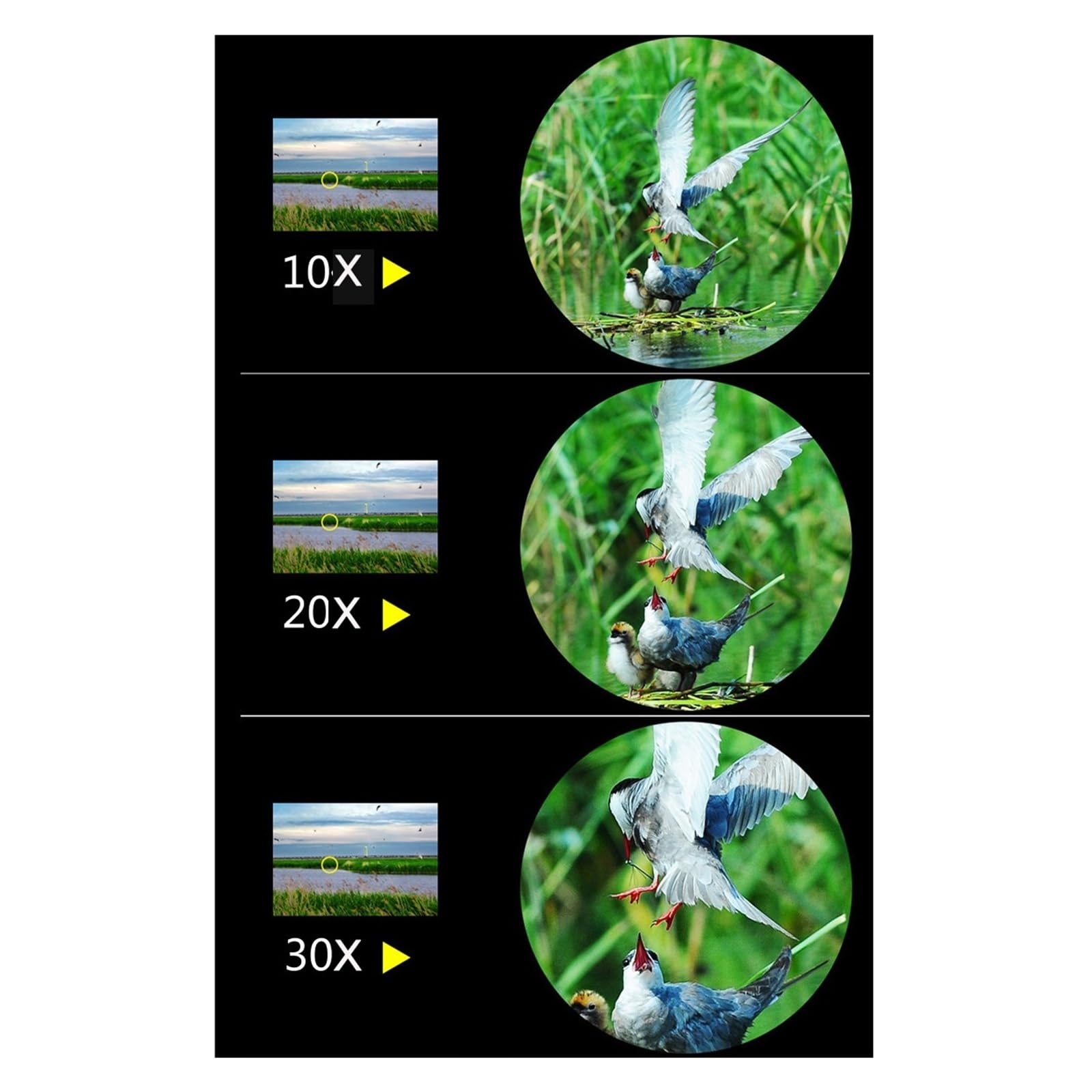Mini Monocolo Zoom Tascabile 10-30x21 Telescopio Impermeabile FMC BAK4 Ottica Portata Portatile For Campeggio Esterno Escursionismo Viaggi Ingrandimento Nitido(Blue)
