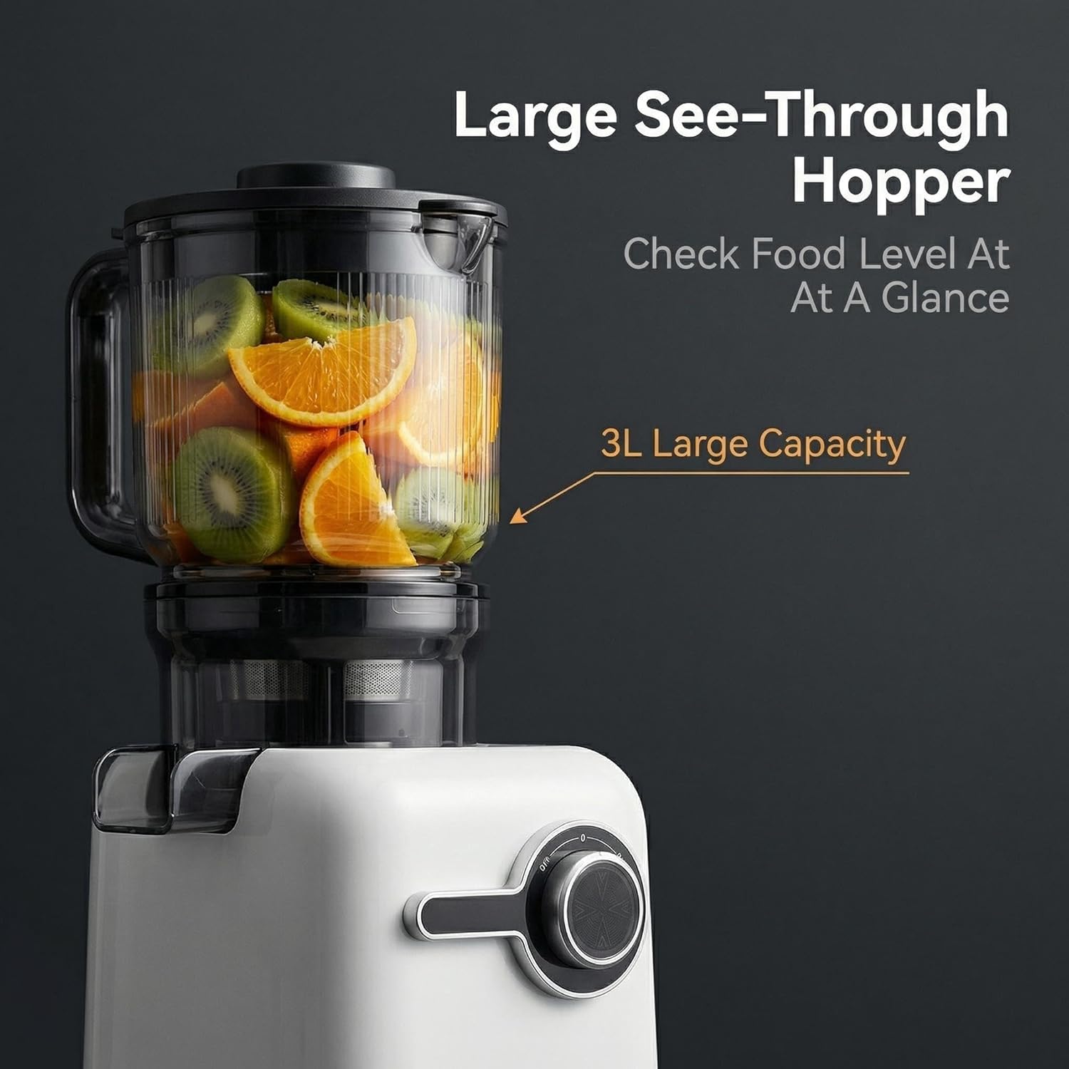 Cold Press Juicer, 3L Large Capacity Slow Masticating Juicer with Big See-Through Hopper, Easy Knob Control, Retain More Nutrients, Quiet Motor, Easy to Clean, for Fruits & Vegetables