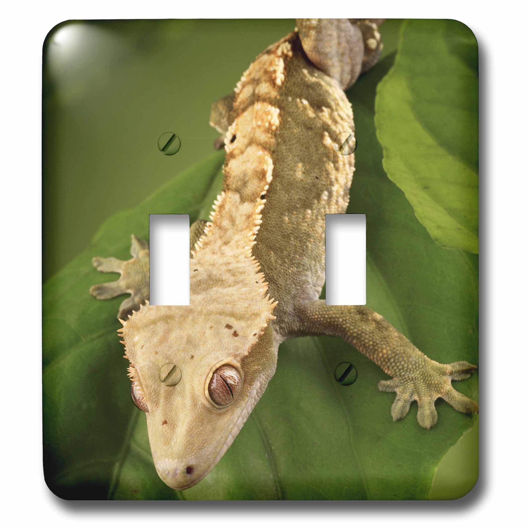 Gecko à crête double interrupteur décoratif 3dRose lézard Na02 Mpr0086 Maresa Pryor