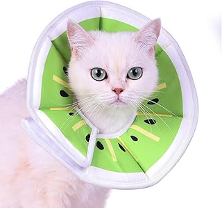 Pawfun Cat Cone Collar Soft, Protective Cat Recovery Collar to Stop Licking After Surgery, Comfortable Kitten Cones Elizabethan Collar for Small Medium Large Cats Prevent from Licking Wounds