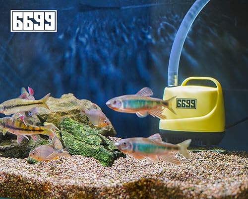 Submersible Pump 600GPH Ultra Quiet Water Fountain Pump Max Lift Height Up to 9FT with 6FT Power Cord 3 Nozzles for Fish Tank Pond Aquarium Statuary Hydroponics AQP 600(600GPH)