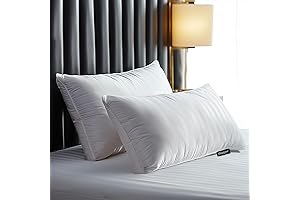 Set of 2 Beautyrest Black Pillows