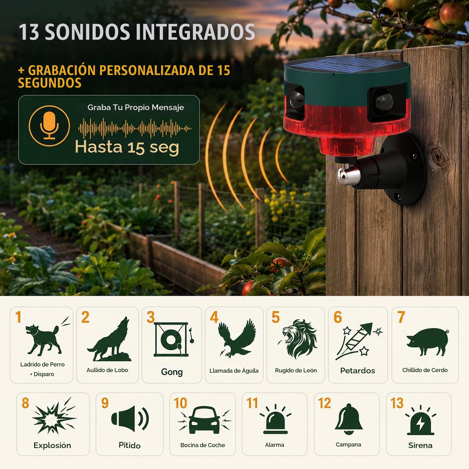 Alarma Solar con Sensor de Movimiento para Exteriores: Detector de Movimiento Mejorado de 360 °, 129 dB, Control Remoto, protección de Seguridad de porches y Dispositivo de Seguridad de