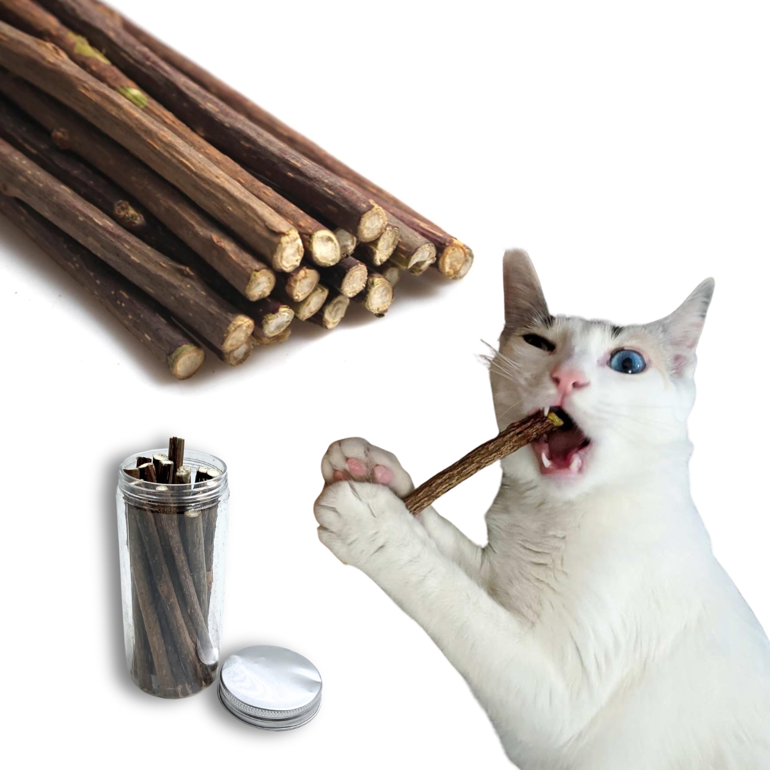 24x7 eMall Catnip Sticks 15 Pcs Kitten Cat Toys Silvervine Teething Toys Molar Suitable for Cats of All Ages Chew Toy with Box. (B0CS9K6FM2) Amazon Price History, Amazon Price Tracker