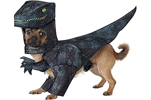 California Costumes Dog Pupasaurus Rex Costume: Transform Your Pup into a Velociraptor