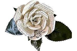 Preserved Real Roses That Last a Year