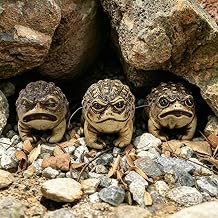 HUYIENO Solar Garden Statue Outdoor Decor Toad Ornament Waterproof Solar Powered LED Lights Frog Garden Decor for Yard, Patio, Lawn Gift for Mom, Women, Housewarming