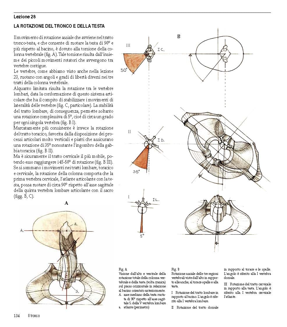 Amazon.com: Alberto Lolli: books, biography, latest update