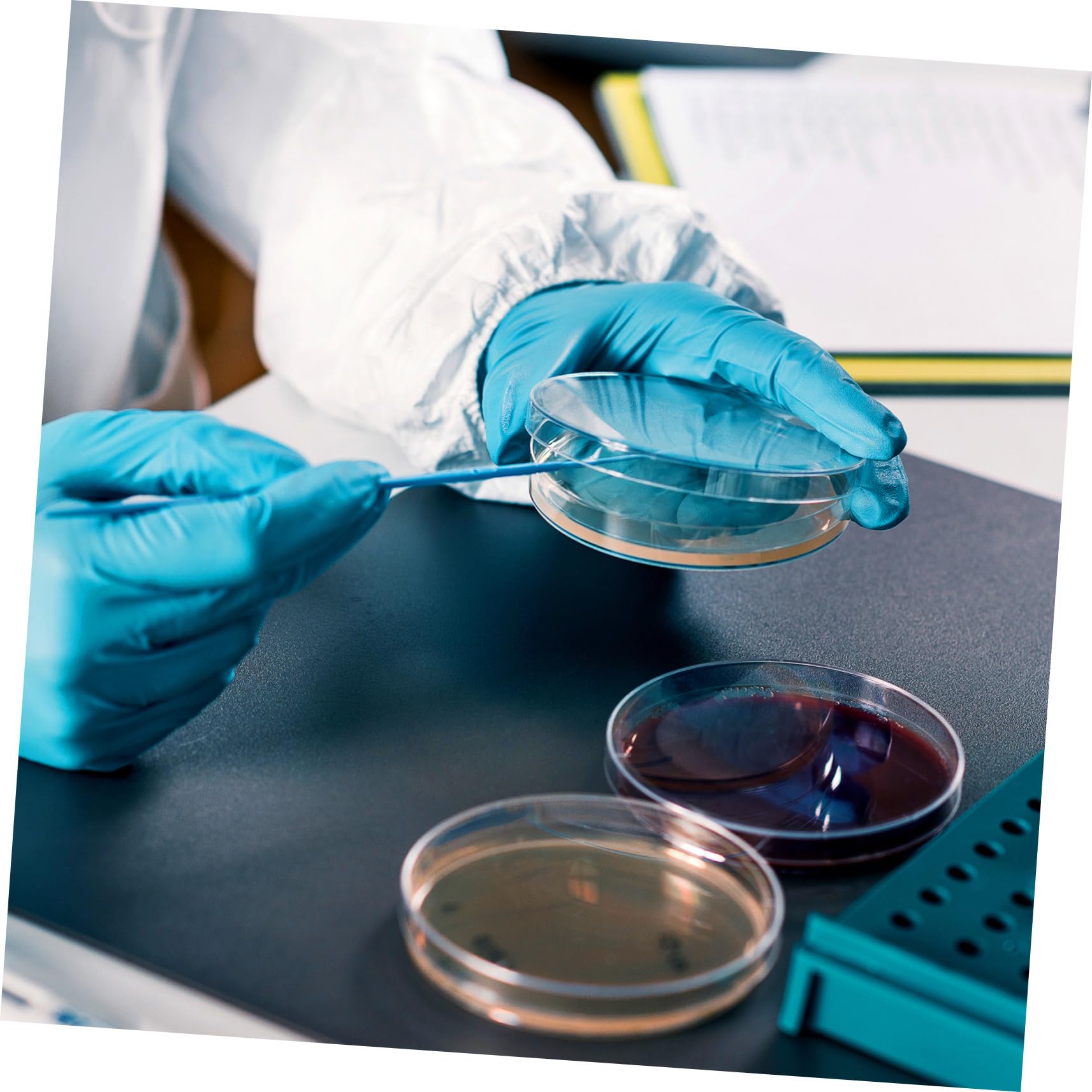Piastre Petri con Agar Nutriente Precolato 20 Pezzi per Laboratorio | 7cm, Monouso per Ricerca e Scuola, Supporto per Coltura Microbiologica, Formato Pronto All'uso