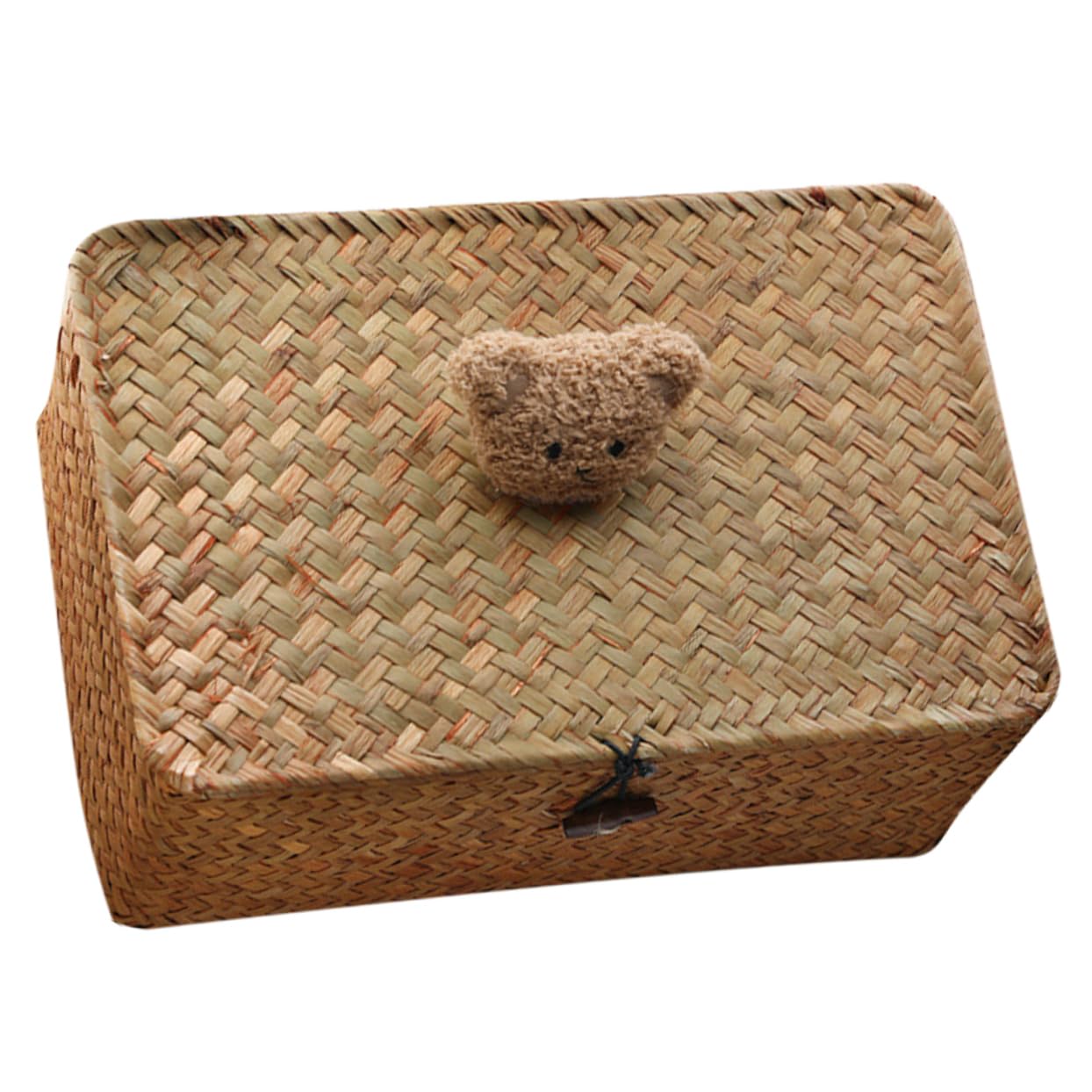 Gatuida 5 Pz cestino portaoggetti cesti portaoggetti cesta portaoggetti vimini scatole di immagazzinaggio con coperchi roti contenitore da tavolo organizer in paglia intrecciata Cannuccia