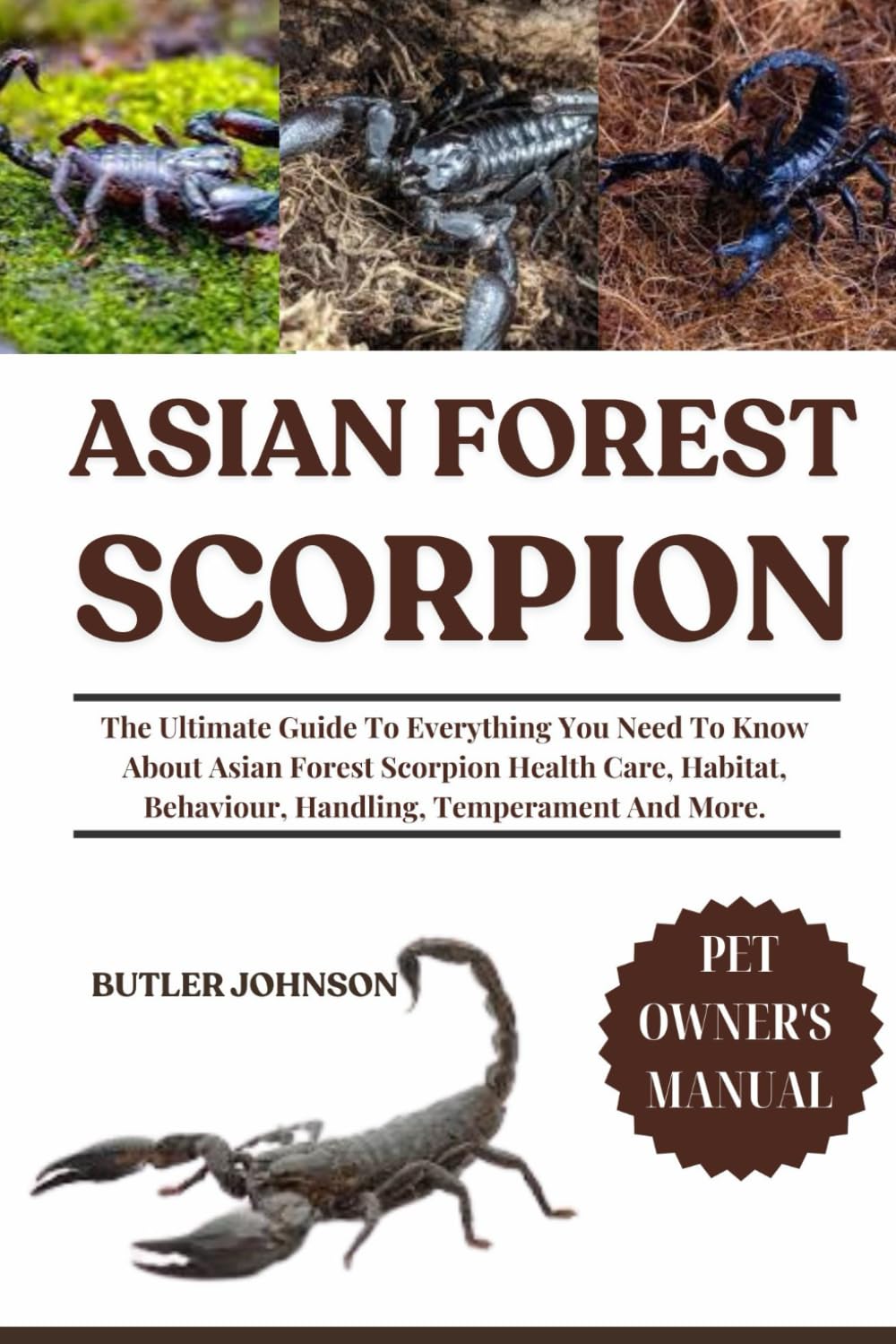 ASIAN FOREST SCORPION: The Ultimate Guide To Everything You Need To Know About Asian Forest Scorpion Health Care, Habitat, Behaviour, Handling,