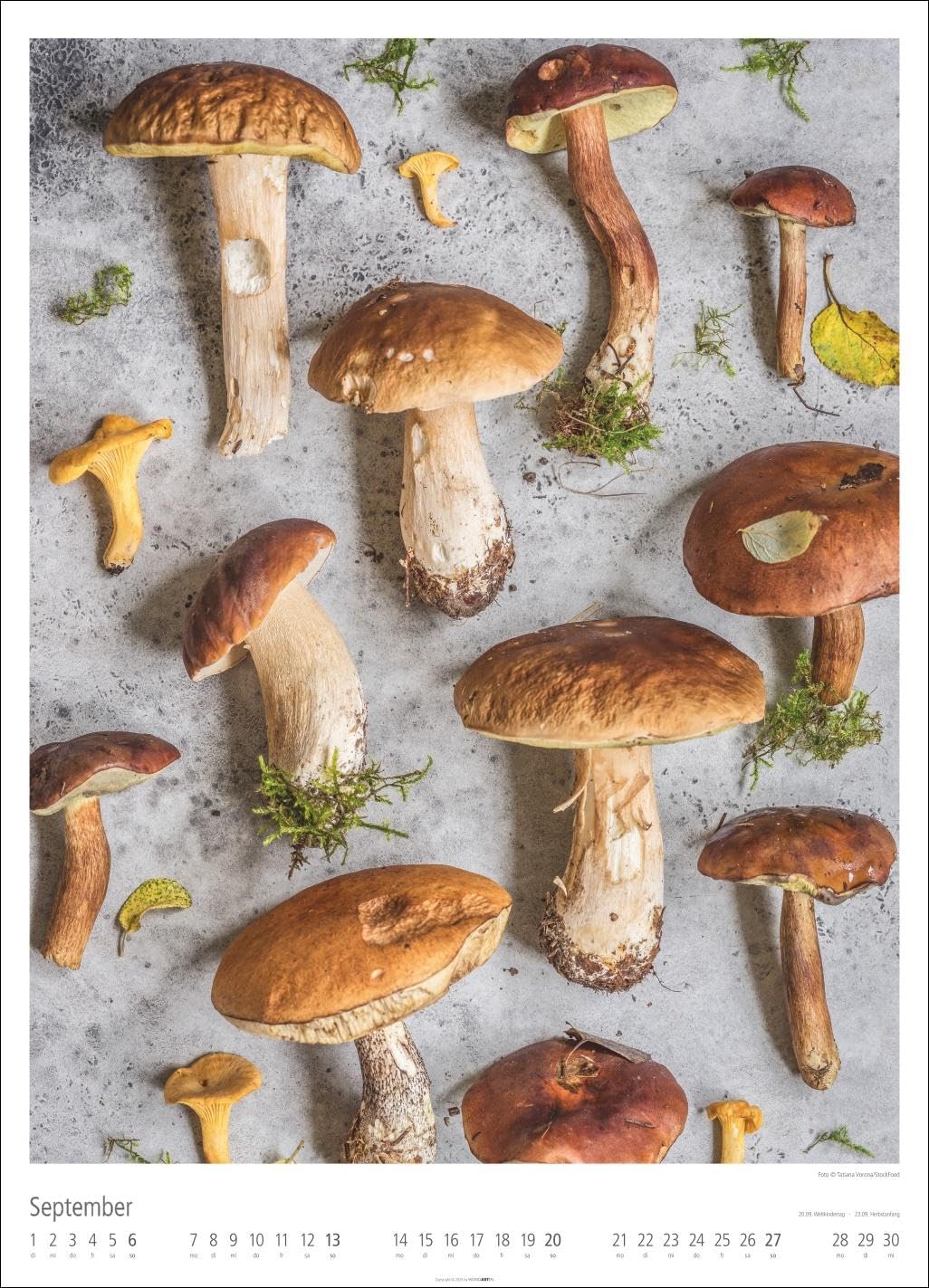 Food Gallery Kalender 2026: Großer Wandkalender mit 12 dekorativen Lifestyle-Fotos für die Küche. Food-Fotografie mit saisonalen Lebensmitteln. 49x68 cm Hochformat.