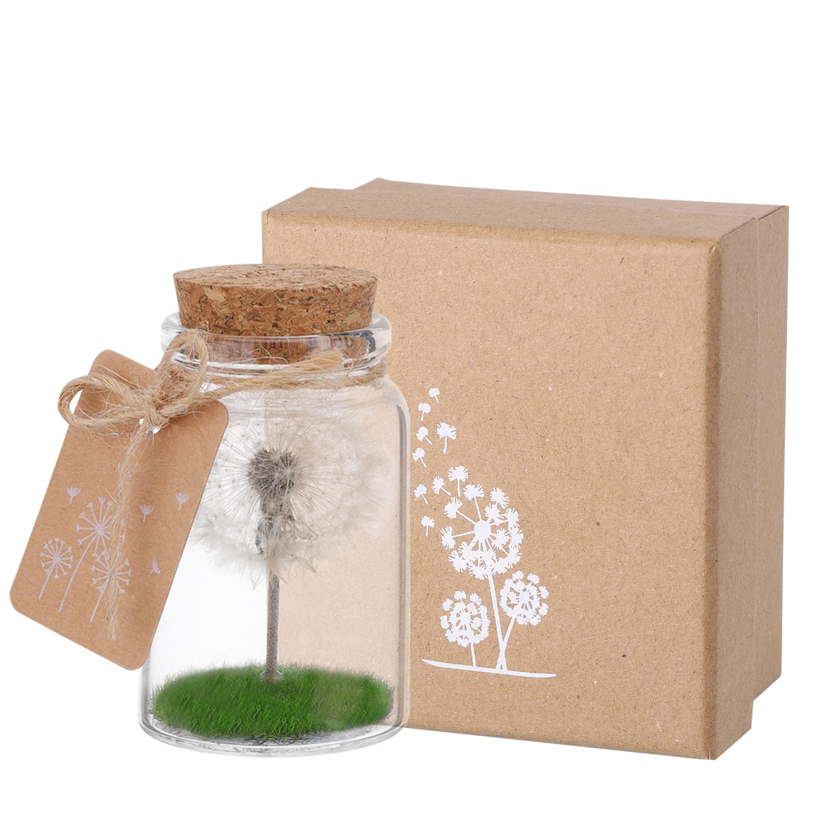 JIZZU Verdadero Diente de León en un Frasco, Regalo amiga Originales con Cordel de Luz, Cumpleaños Día San Valentín Boda Día Madre Regalos Navidad