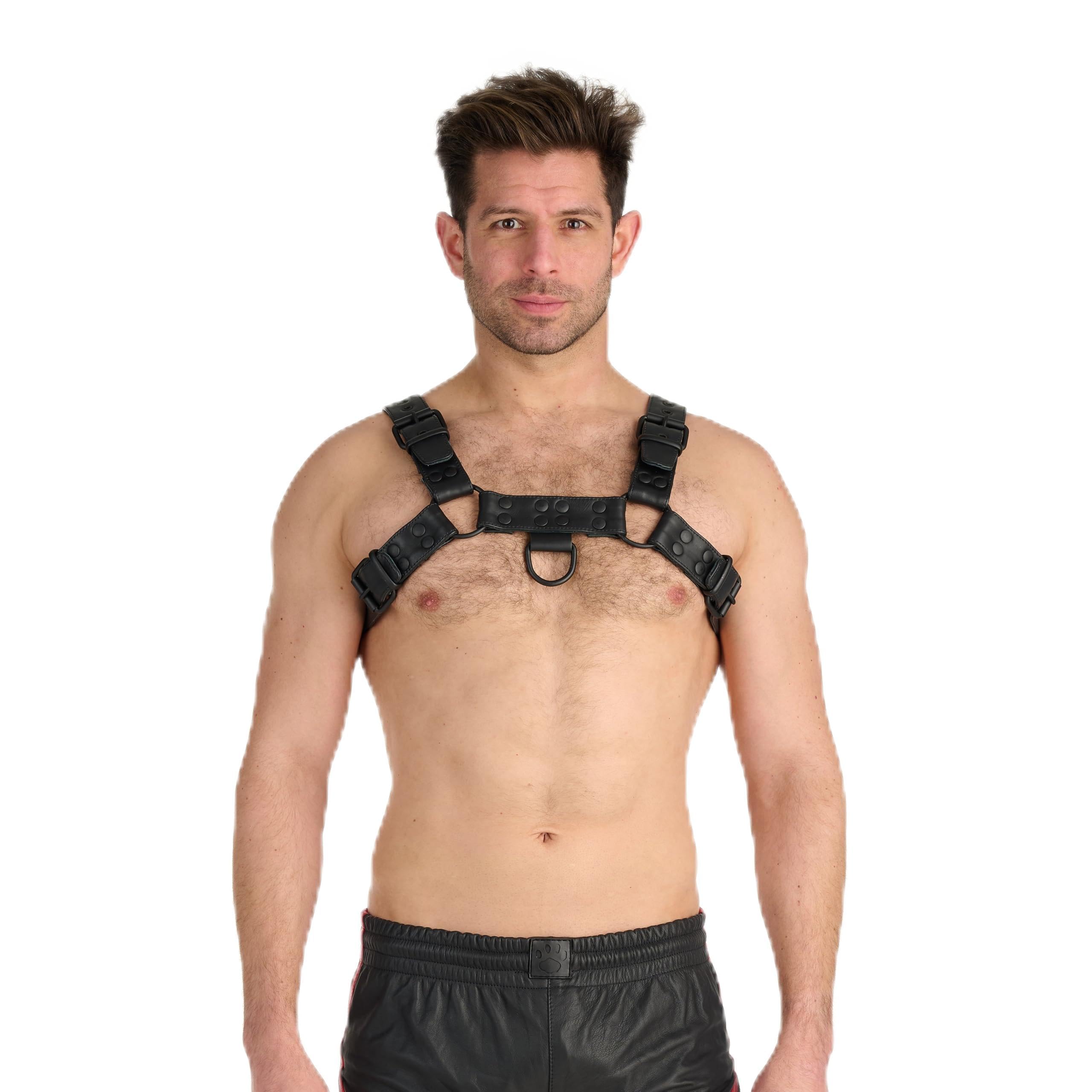 Prowler RED Noir Harness Premium Black - Medium UK Chest Size - 40" - 43"