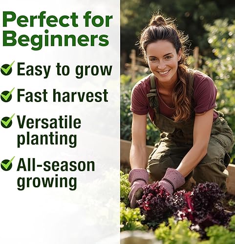 Miniatura 148 de HOME GROWN Más de 1000 semillas de cilantro para plantar en interiores o exteriores, hierbas tradicionales sin OMG, semillas de plantas de cilantro