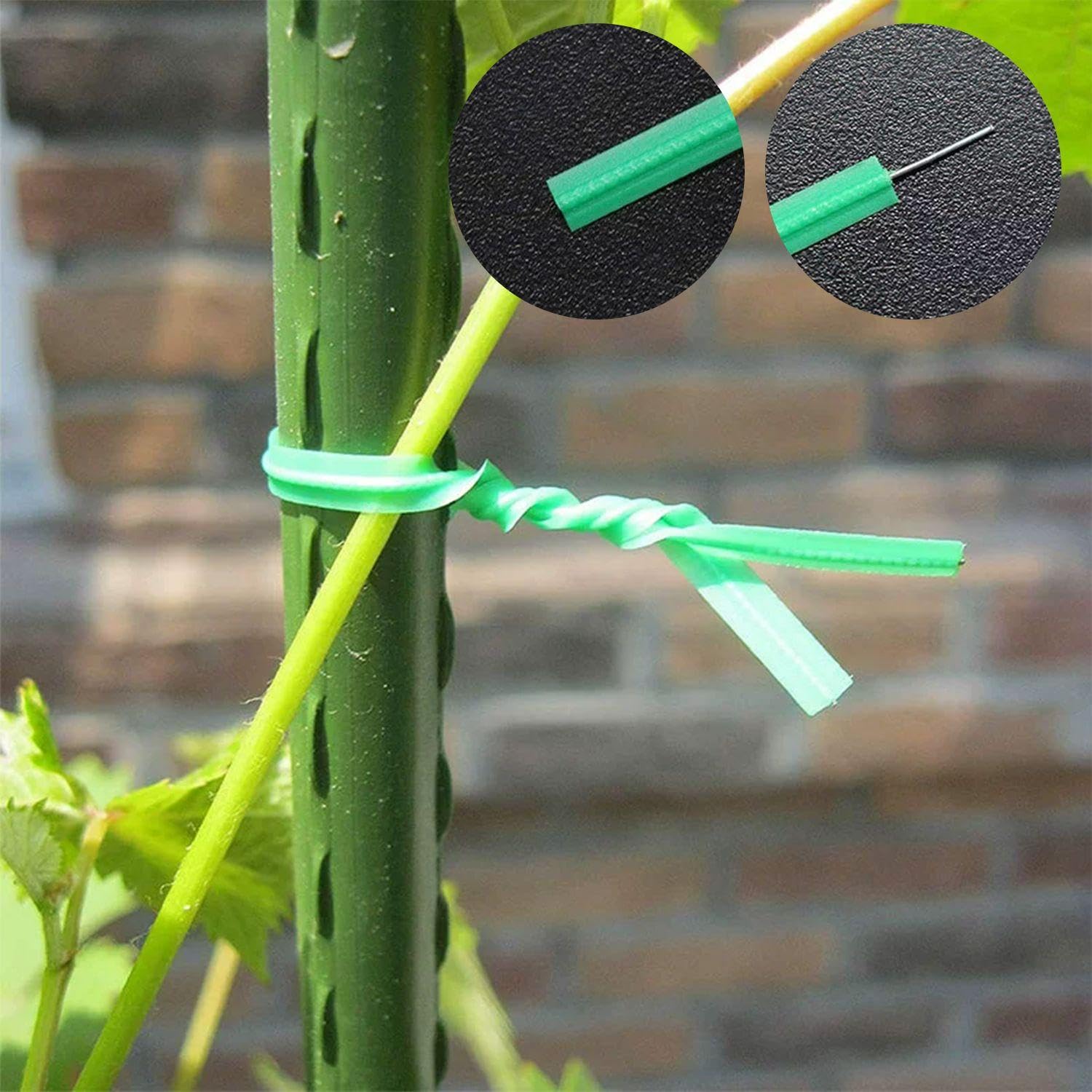 6 Pezzi di Rastrelliere A Rete E 100 Cravatte, Staffa per Arrampicata per Piante, Staffa di Piante in Plastica, Forniture per Il Giardinaggio.