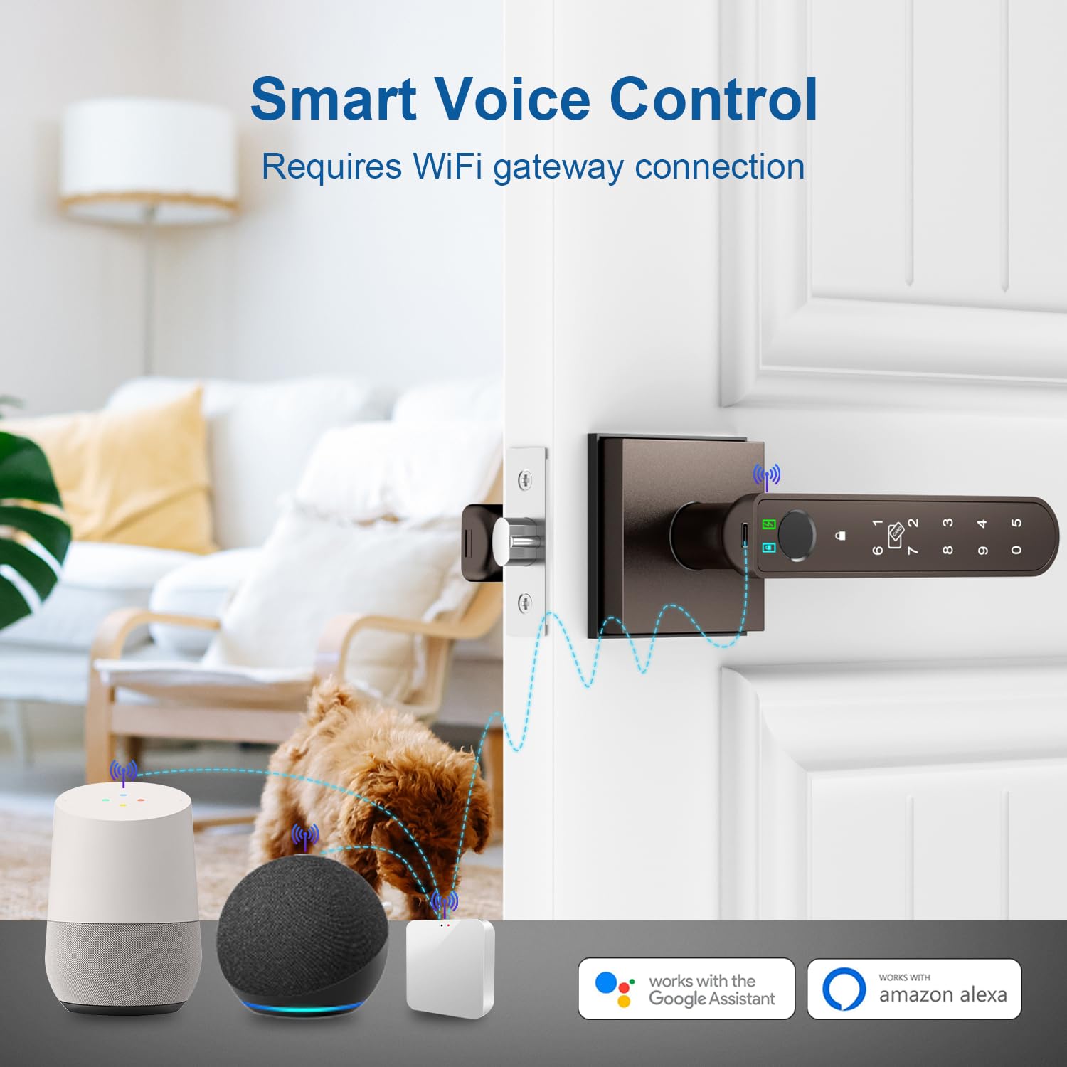 BIWIBON Serratura per porta con impronte digitali, 5 in 1, con Smart APP/impronte digitali/schede IC/password/chiavi di backup, manopola per porta con tastiera per camera da letto, ufficio,
